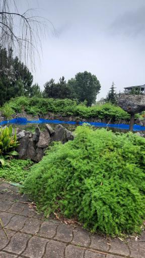 عکس پارک گیاه شناسی