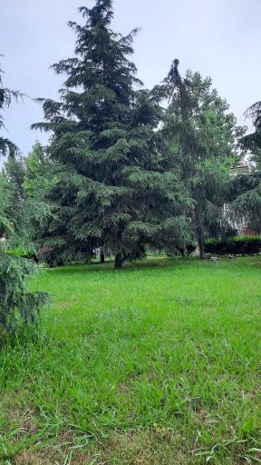 عکس پارک گیاه شناسی