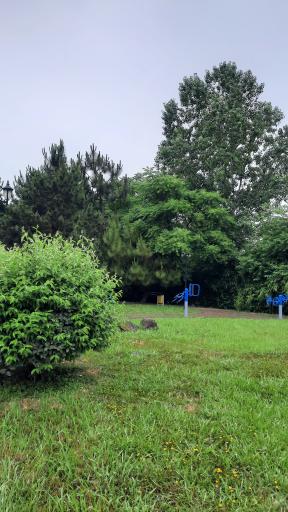 عکس پارک گیاه شناسی