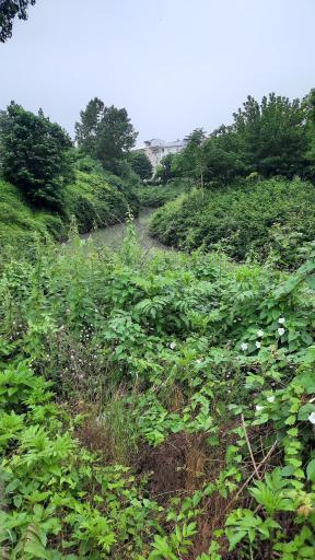 عکس پارک گیاه شناسی