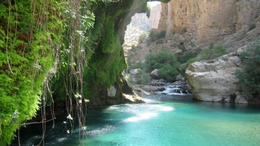 عکس تنگ بستانک