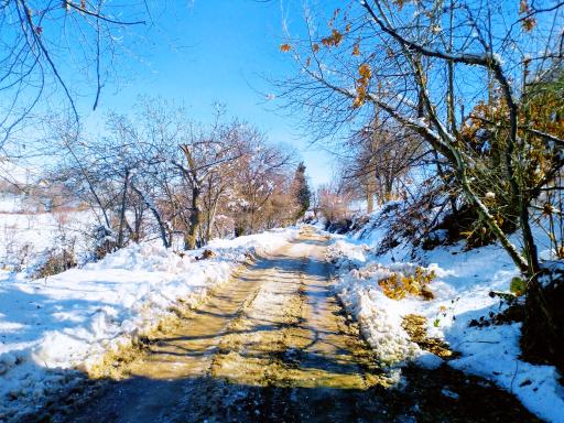 عکس تنگ بستانک