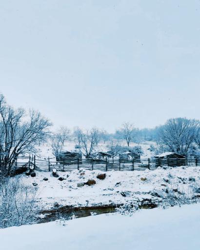 عکس تنگ بستانک