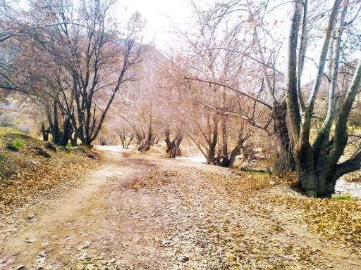 عکس تنگ بستانک