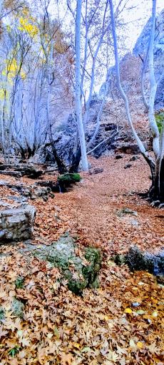 عکس تنگ بستانک