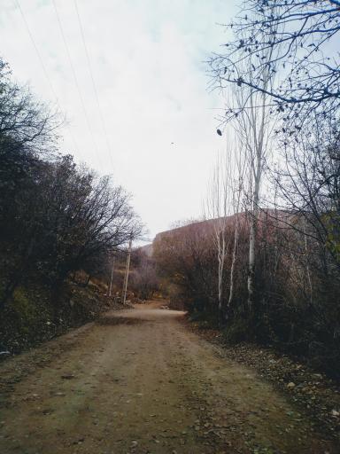 عکس تنگ بستانک