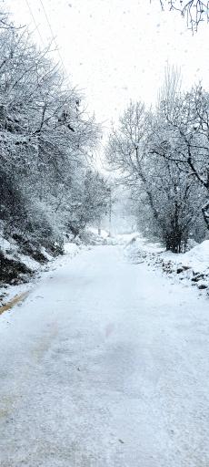 عکس تنگ بستانک