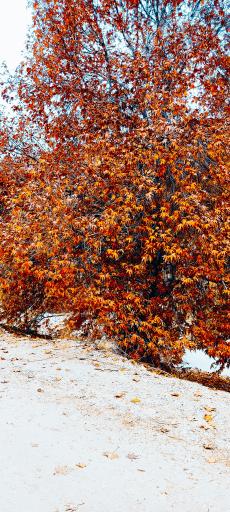 عکس تنگ بستانک