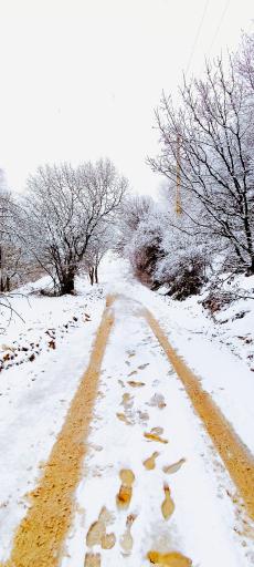 عکس تنگ بستانک