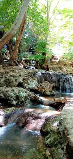 عکس تنگ بستانک