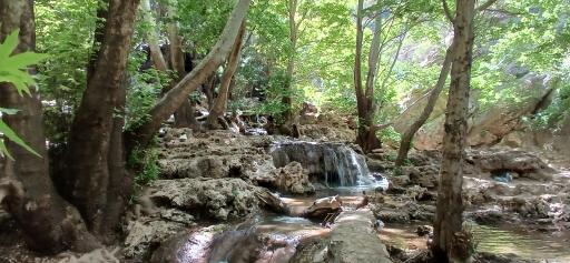 عکس تنگ بستانک