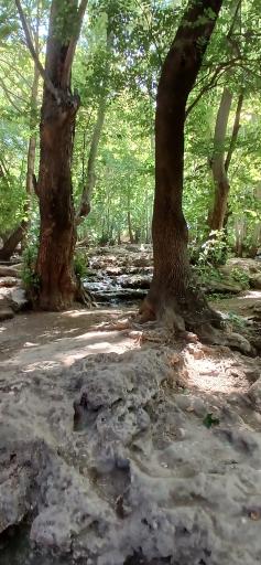 عکس تنگ بستانک