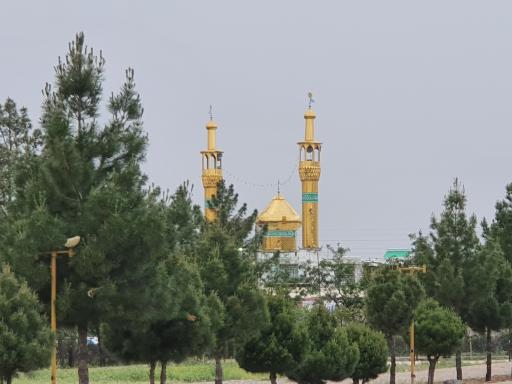 عکس مسجد حضرت موسی بن جعفر (ع)