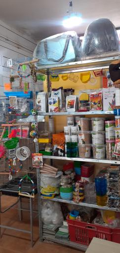 عکس فروشگاه ملزومات پرنده ققنوس