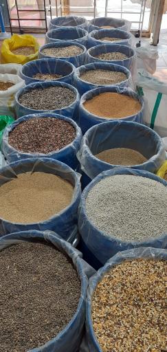 عکس فروشگاه ملزومات پرنده ققنوس