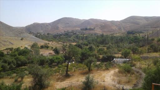 بلوبین