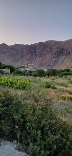 عکس بلوبین