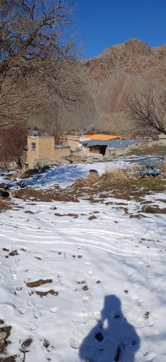 عکس بلوبین