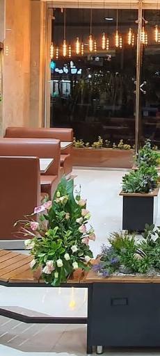 عکس فست فود نیکشان