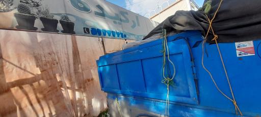 عکس گل و گلدان ارکیده