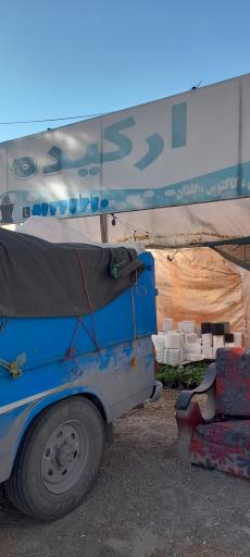 عکس گل و گلدان ارکیده