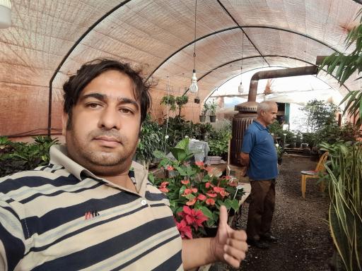 عکس گل و گلدان ارکیده