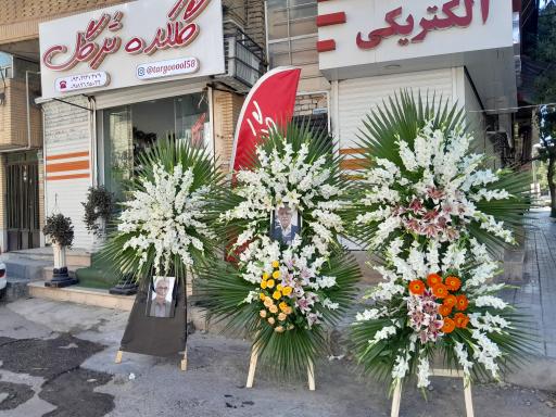 عکس گلکده ترگل