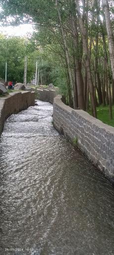 نقده