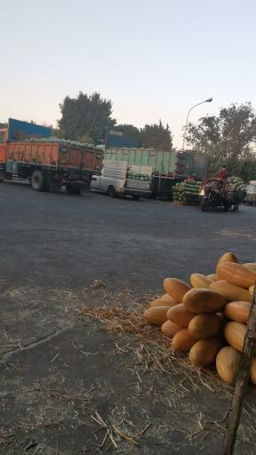 عکس میدان مرکزی میوه و تره بار تهران فاز دو