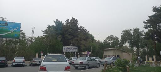 عکس مجتمع ارغوان