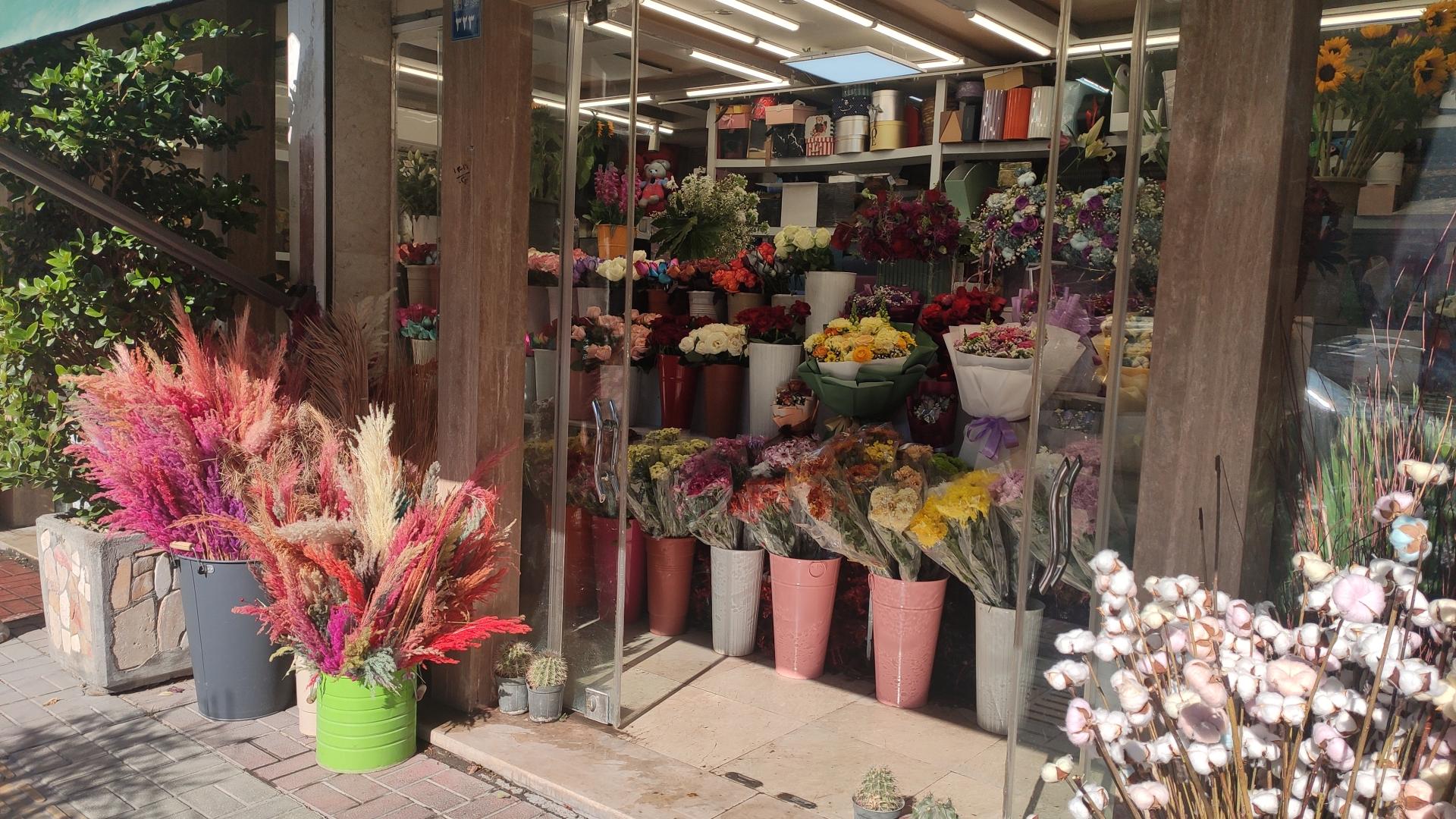 عکس گل آیریس