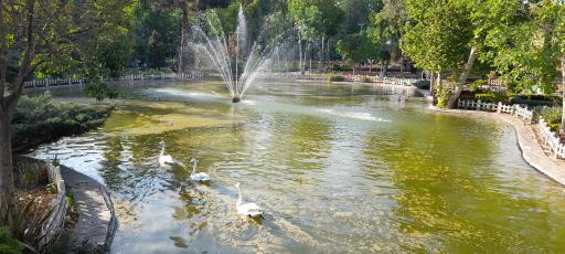 عکس بوستان چمران