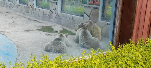 عکس بوستان چمران