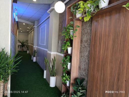 عکس تالار باغ مجلل