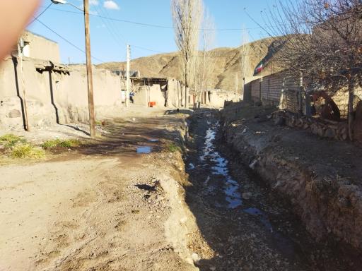 عکس جیران بلاغی