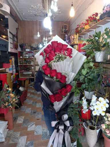 عکس گلکده ترگل