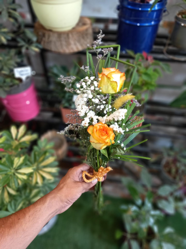 عکس گلکده ترگل