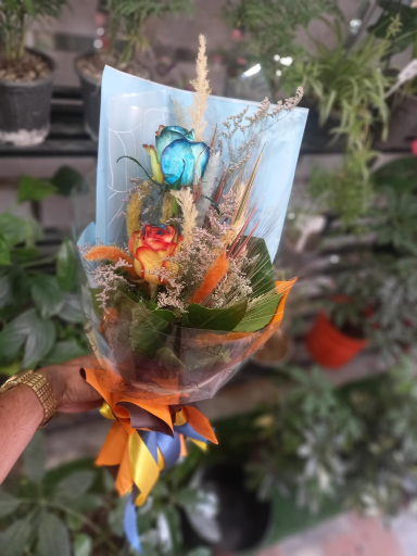 عکس گلکده ترگل