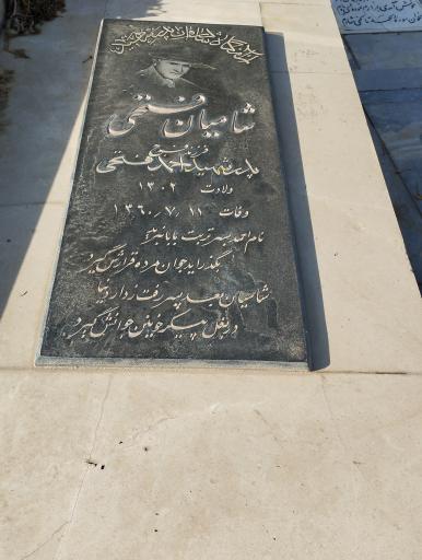 عکس مزار شامیان فتحی