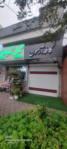 عکس کافه آرمون