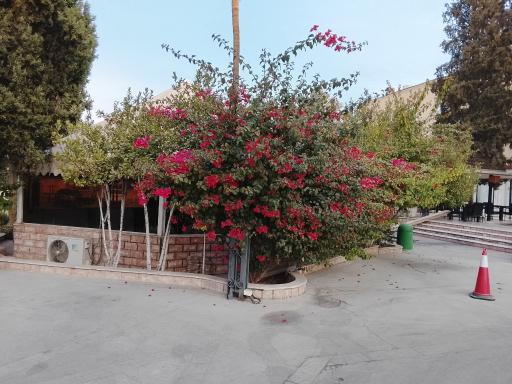 عکس هتل پارک سعدی شیراز