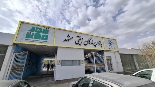عکس بازار پرندگان زینتی مشهد 