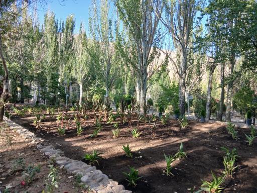 عکس باشگاه و مجموعه تفریحی شرکت نفت آبعلی