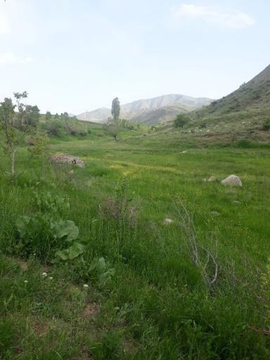 عکس قشلاق سردار اشرف