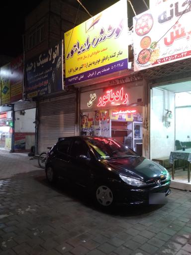 عکس رادیاتور علی