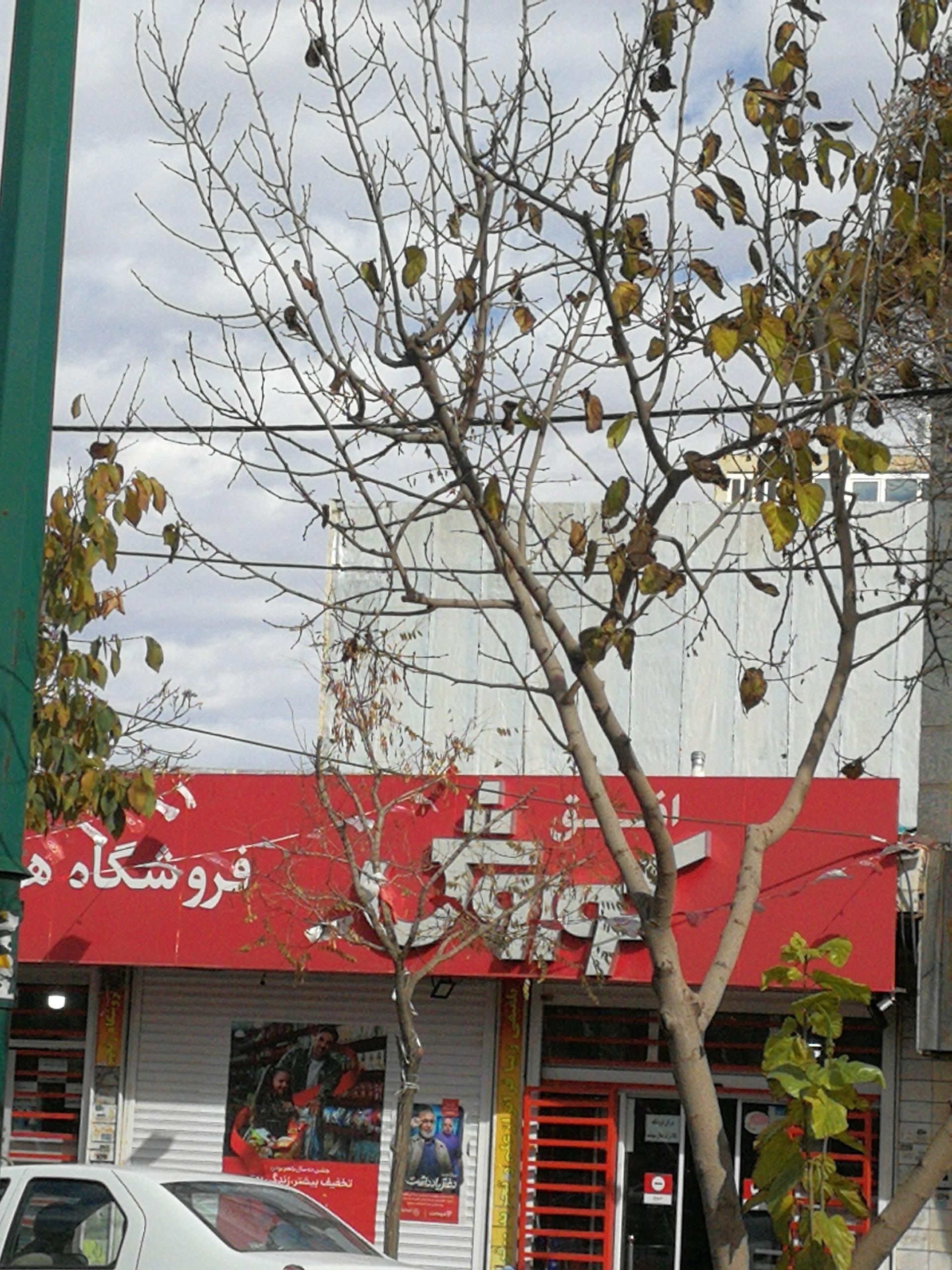 عکس فروشگاه افق کوروش شعبه راهزان