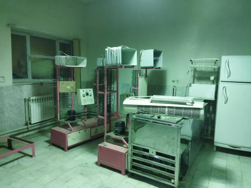 عکس فنی حرفه ای برادران زابل