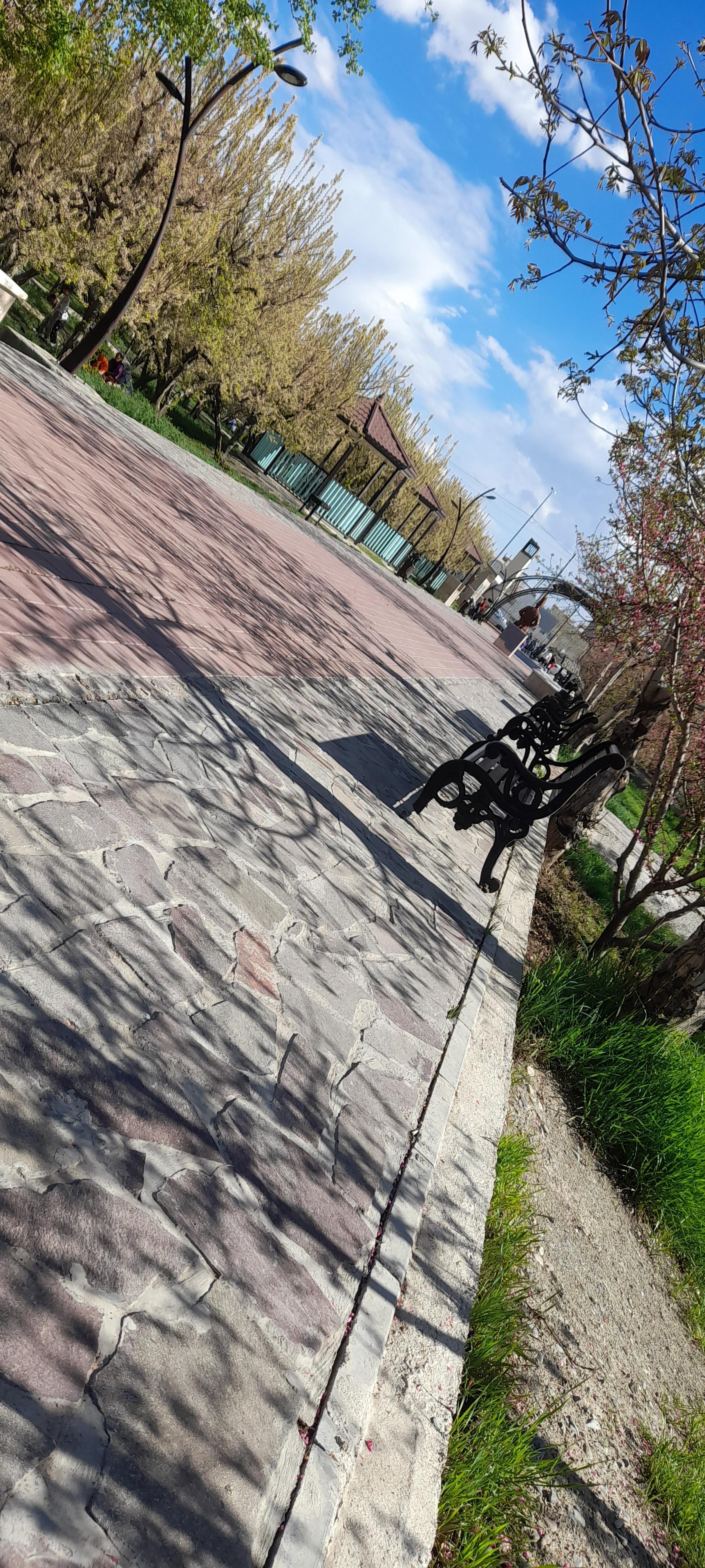 عکس پارک امیریه