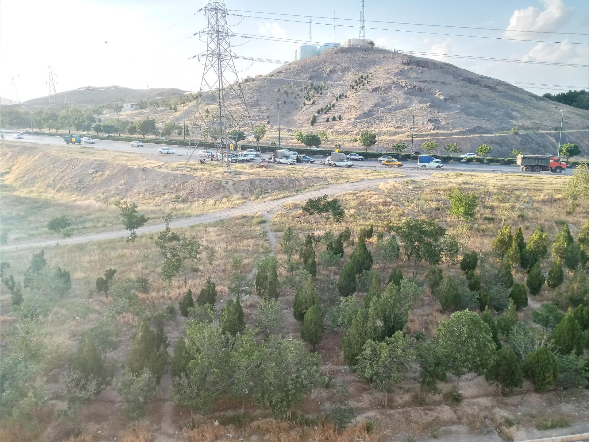 عکس فضای سبز