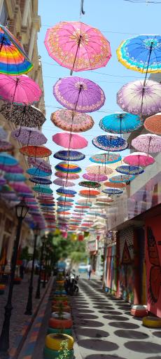 عکس کوچه تمدن 